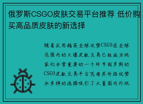 俄罗斯CSGO皮肤交易平台推荐 低价购买高品质皮肤的新选择